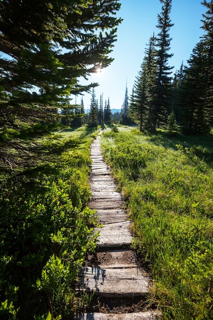 Boardwalk