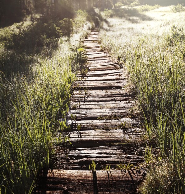 Photo boardwalk