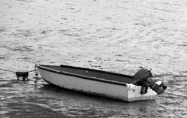 Photo boat on beach