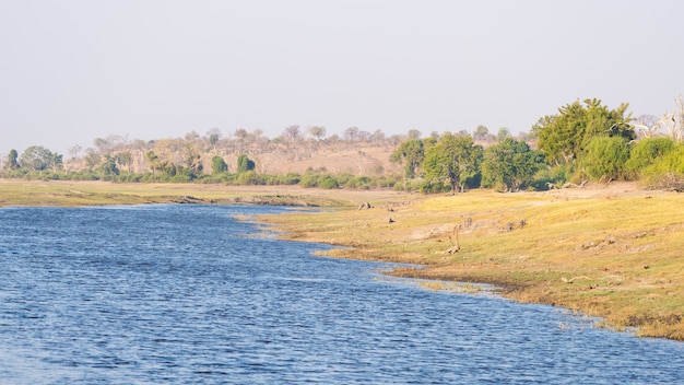 나미비아 초베 강에서 보트 크루즈 및 야생 동물 사파리