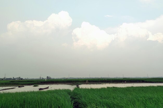 A boat in a field with a cloudy sky