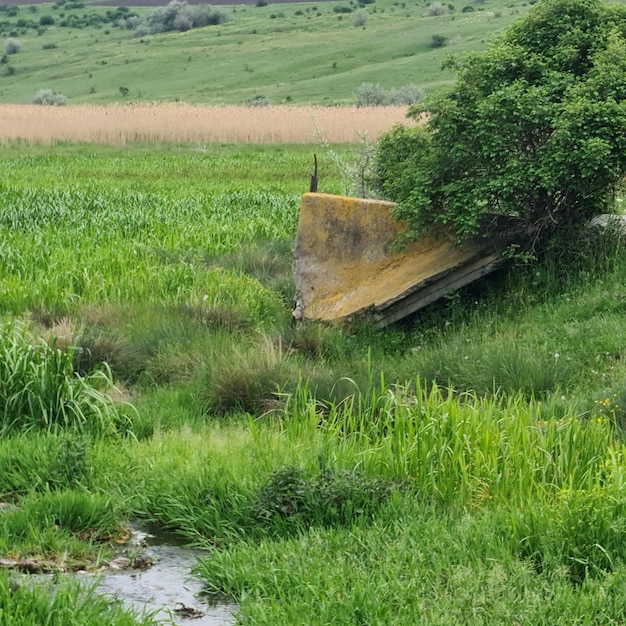 A boat in a field with a tree in the background