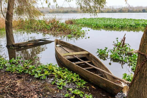 boat floating on lake against trees