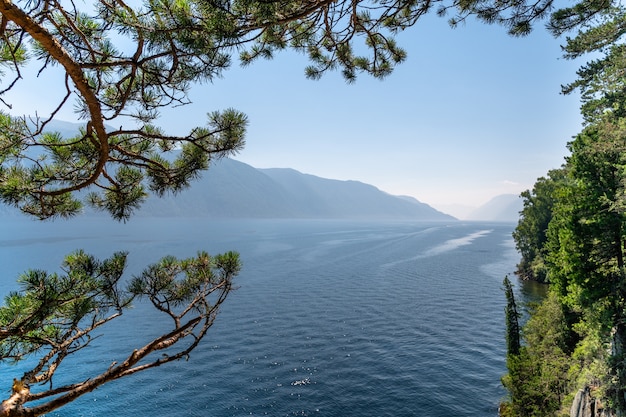 ボートは山の湖に沿って行きます。山の中の美しい湖。杉の枝が湖の上にぶら下がっています。旅行