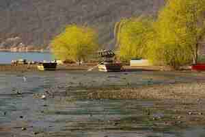 Photo a boat is on the water with a yellow tree in the background