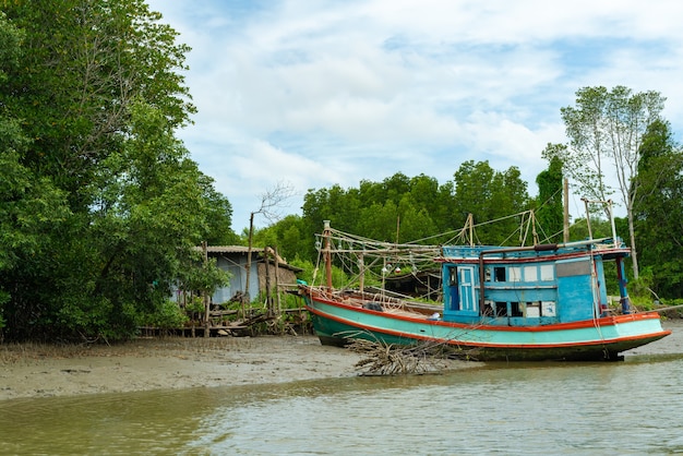 Photo boat and mangrove forest, view from the water at a low tide period in thailand.