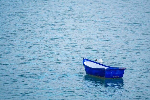 写真 海に停泊したボート