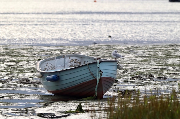 Photo boat moored on sea shore against sky