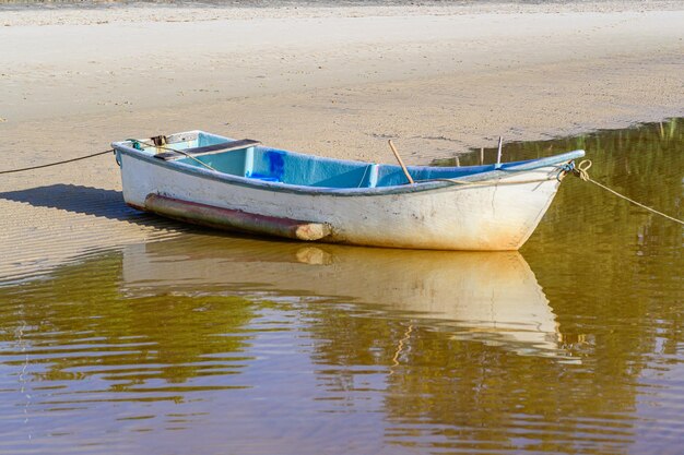 Boat moored on shore