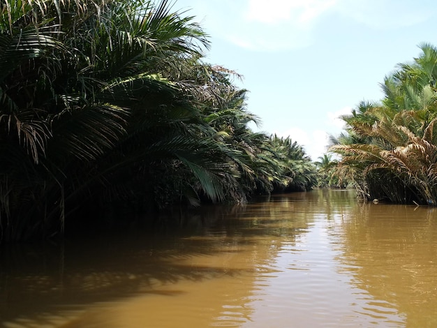 Photo boat ride in vietnam