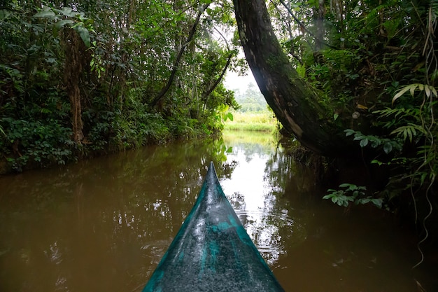 The boat ride on the water in the rainforest