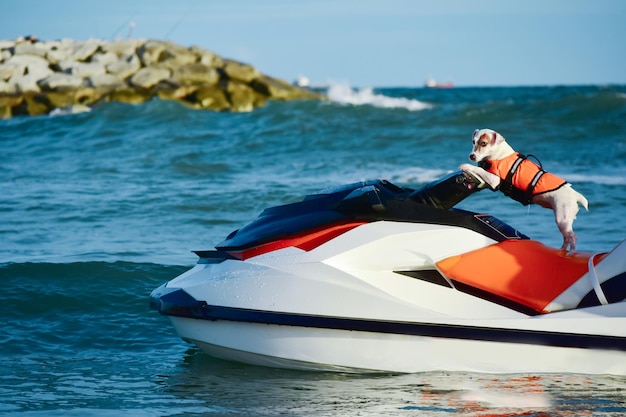 Boat sea water ocean blue sport fun speed jetski summer beach boats kayak travel fishing lake ski jet watercraft vacation fast wave motorboat river sky