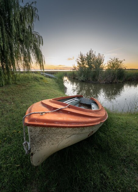 Photo a boat sits on the grass next to a willow tree.