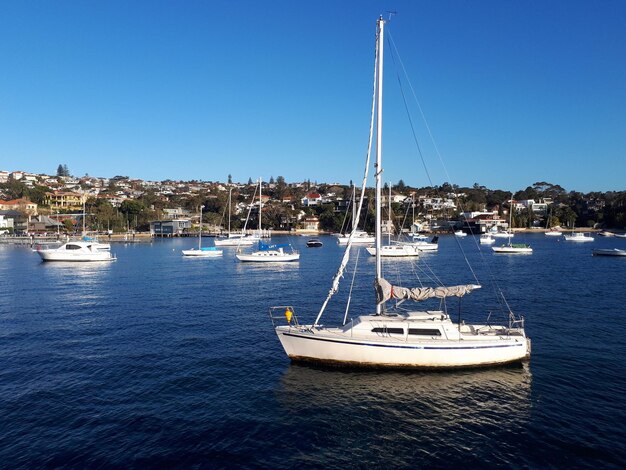 Boats on the bay Sydney 23 August 2019