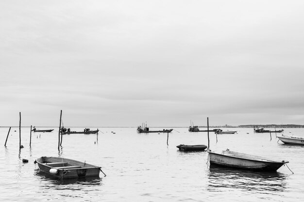 Boats in a harbor on the ocean coast monochrome photography