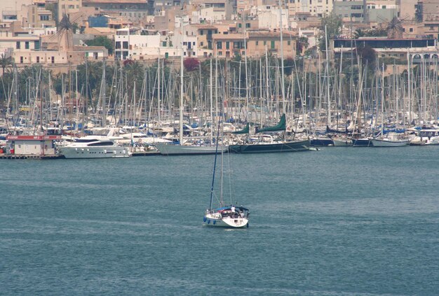 Boats in harbor