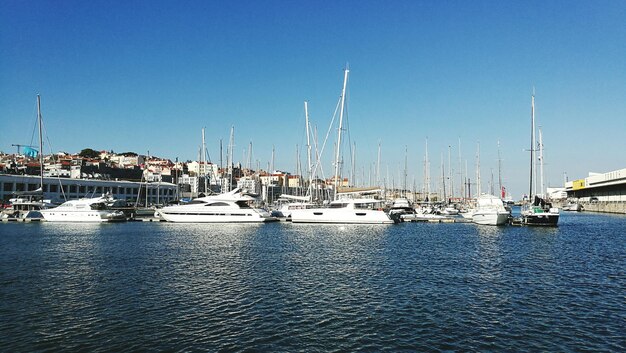 Boats in harbor