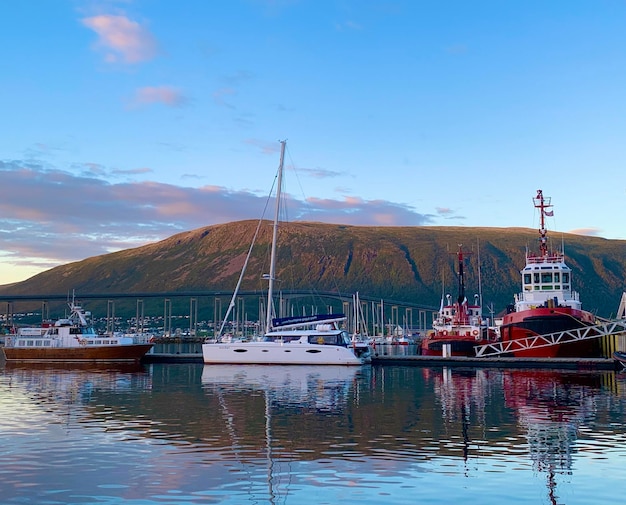 Boats in harbor