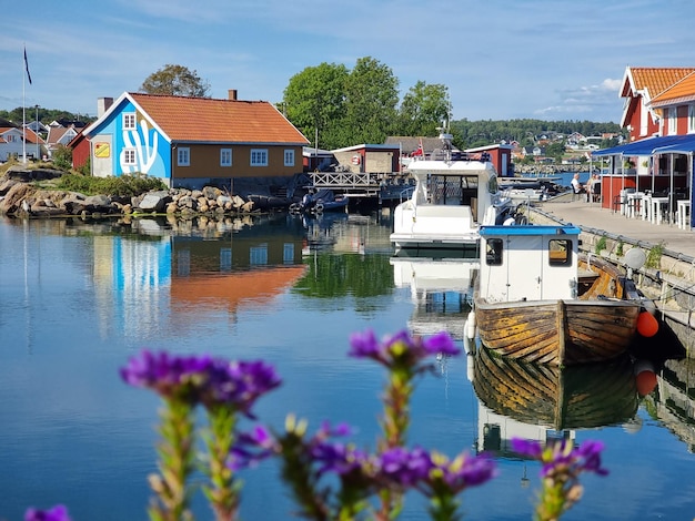 Фото Лодки на озере