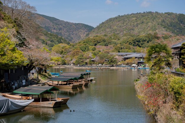 Foto barche nel fiume katsura nel distretto di arashiyama con la fioritura dei ciliegi in primavera