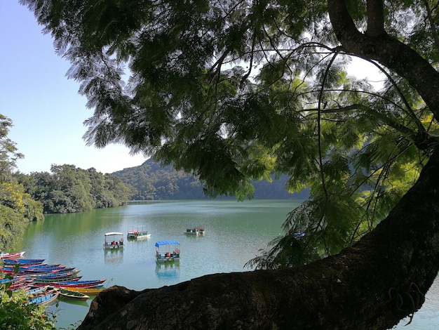 Photo boats in lake