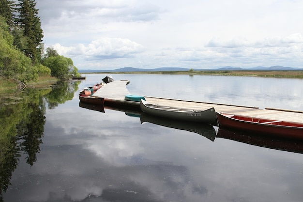 Boats in a marina on a lake