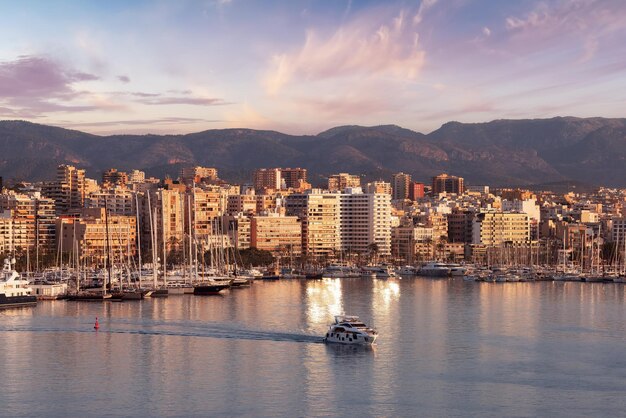 Boats in a Marina with Downtown City Buildings by Balearic Sea Palma Balearic Islands Spain