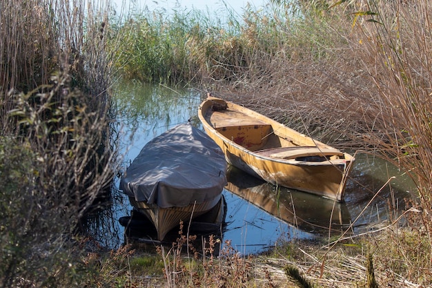 Foto barche ormeggiate in riva al lago, tra i canneti