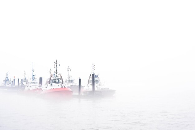 Photo boats moored at harbor against clear sky