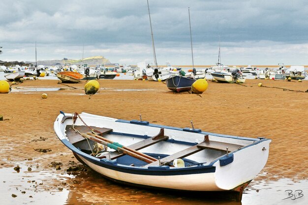 Boats moored at harbor against sky