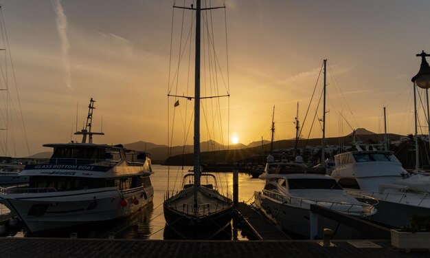 Boats moored at harbor