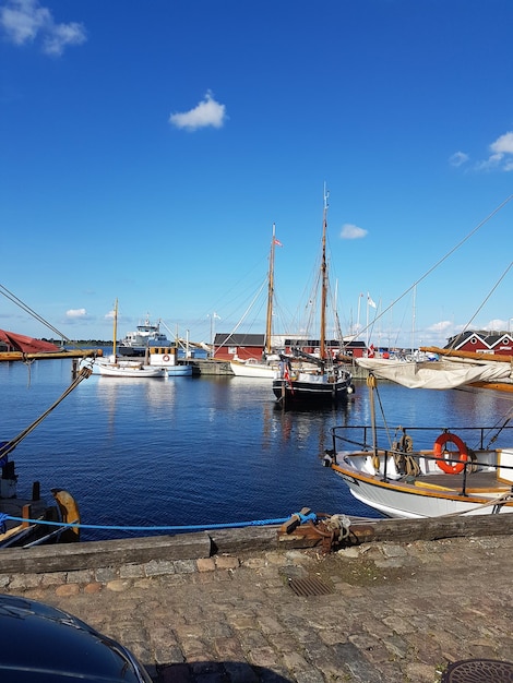 Boats moored at harbor