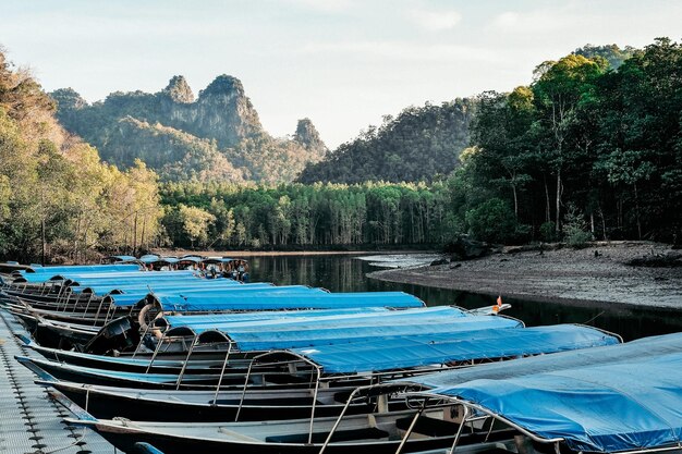 Boats moored in lake against trees