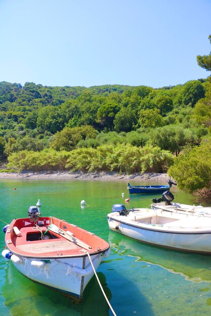 Boats moored at palmaria island portovenere italy