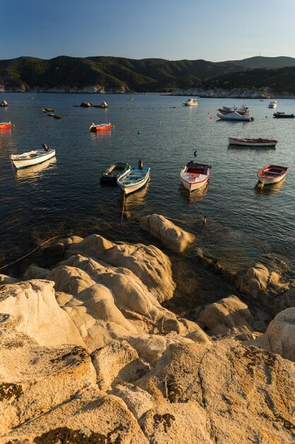 Boats moored on sea against clear sky