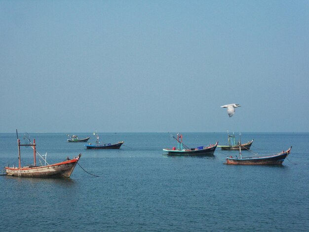 Boats moored in sea against clear sky