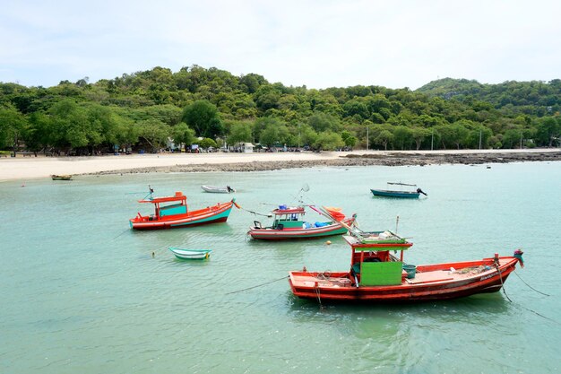 Boats moored in sea against sky