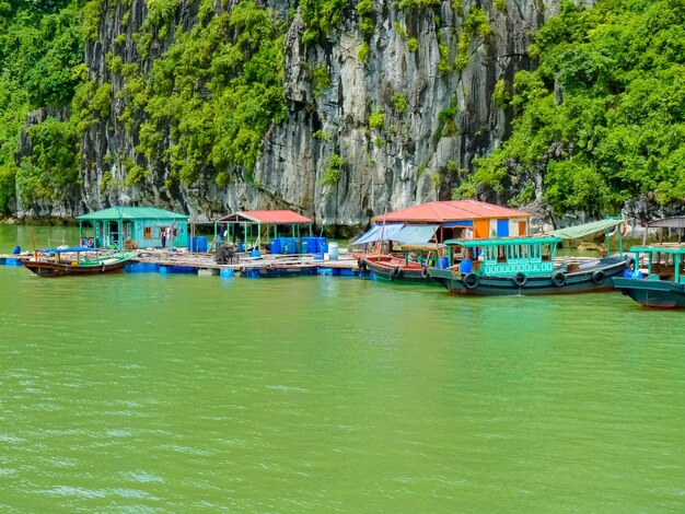 Boats moored in sea