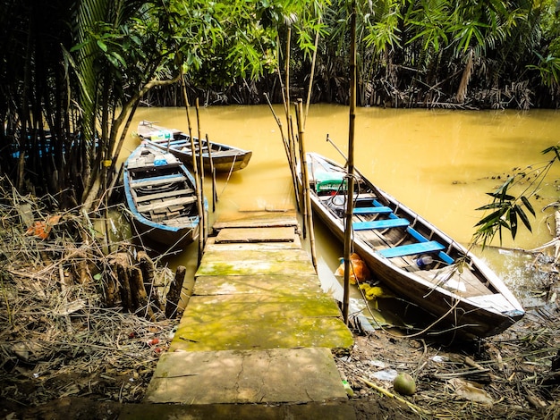 Photo boats moored at shore against trees