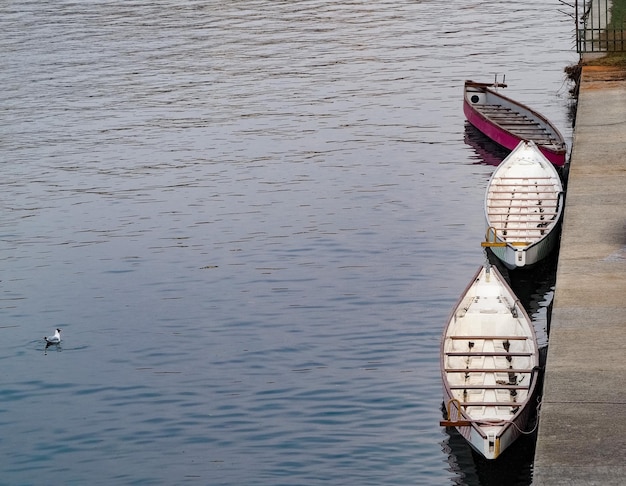 Photo boats on a river docked to the river bank