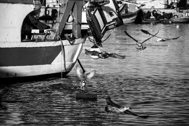 Foto barche che navigano in mare