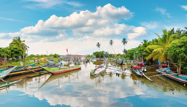 Boats in Sri Lanka