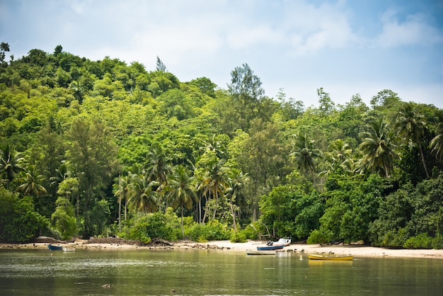 Boats on a tropical beach