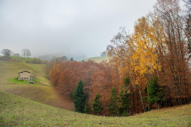 Bocht op de bergweg