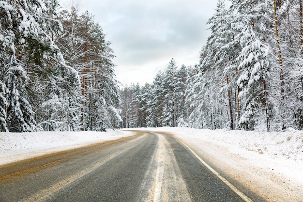 Bochtige besneeuwde landweg die door bossen leidt