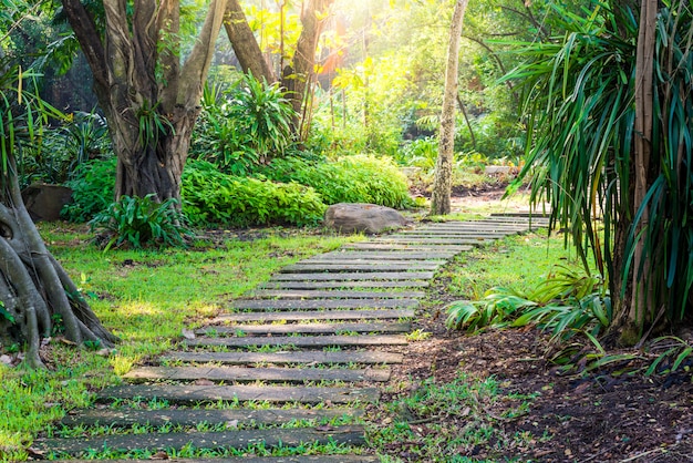 Bochtige weg in een park