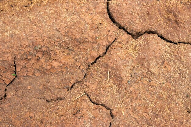 Bodem op de grond als textuur en achtergrond