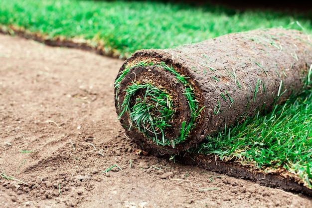 Bodembekleding met groene rollen van een gazon