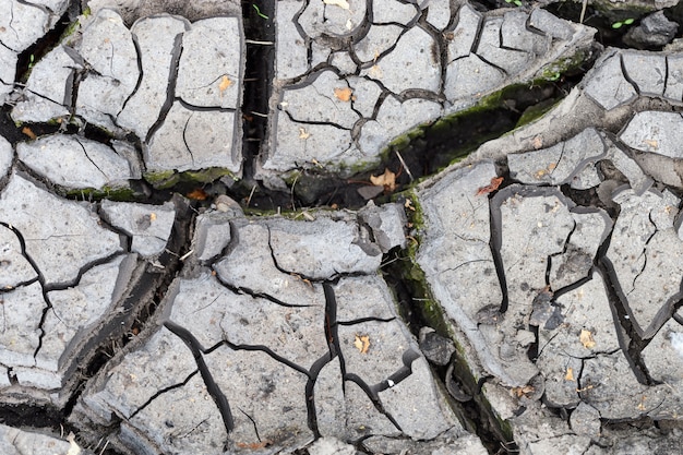 Bodemstructuur. Scheuren in droge grond. Gedroogde modder. Natuurlijke omgeving.