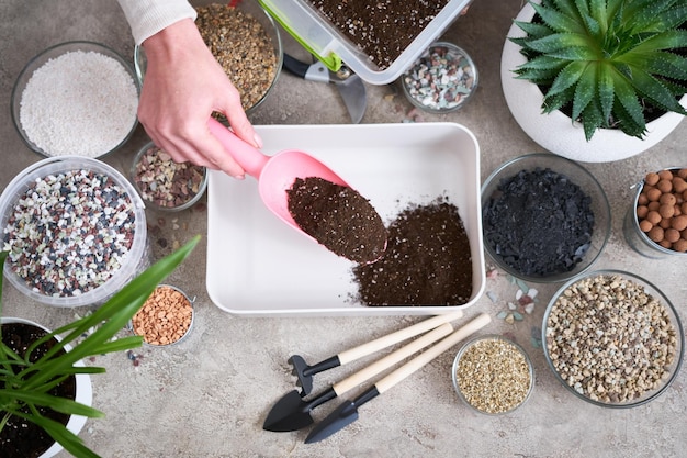 Bodemsubstraatvoorbereiding voor het verplanten van kamerplanten op een betonnen achtergrond